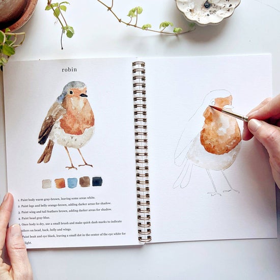 Emily Lex - Birds Watercolor Workbook