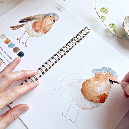 Emily Lex - Birds Watercolor Workbook