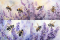 Ink Fusion Decoupage Rice Paper A4 - Bumbles Amidst the Bloom