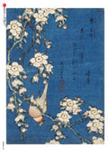Decoupage Queen Rice Paper A4 - Animals 0097