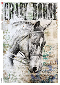 Decoupage Queen Rice Paper A4 - Animals 0179