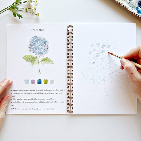 Emily Lex - Flowers Watercolour Workbook