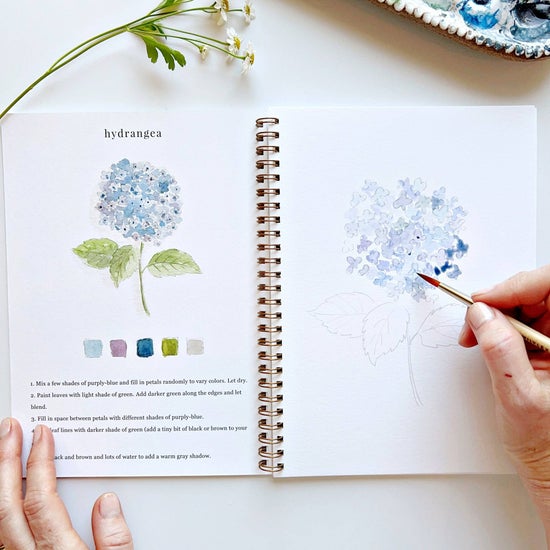 Emily Lex - Flowers Watercolour Workbook