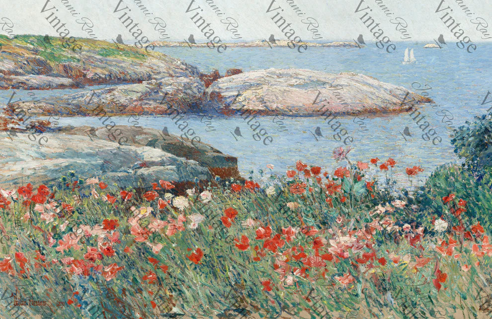 JRV Medium Rice Paper - Poppies on The Beach