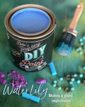 DIY Paint - Water Lily